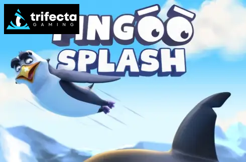 Pingoo Splash